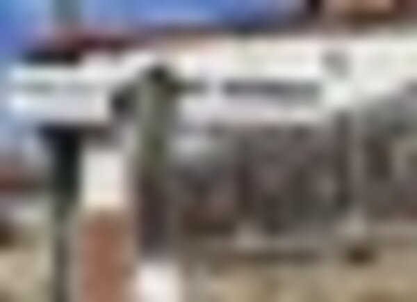 tiny_thumb_img_20230405_141852