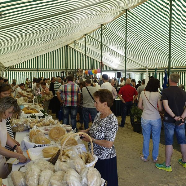 Feira do Azeite e do Pão de Macedo do Mato