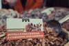 thumb_festival_do_butelo_e_das_casulas__2_