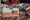 tiny_thumb_festival_do_butelo_e_das_casulas__2_